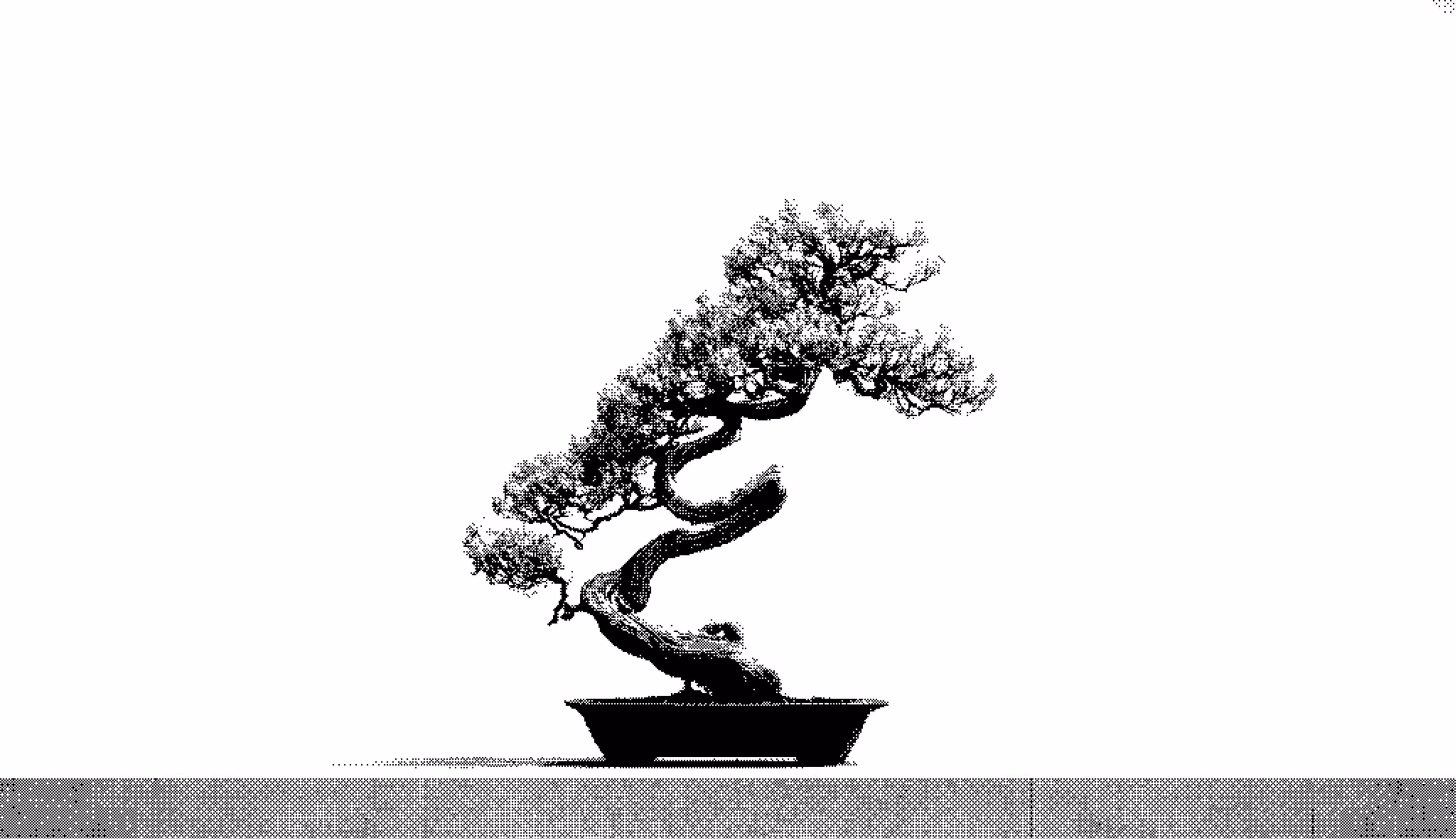 dither of bonzai tree